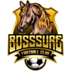 BOSSSURE-FC